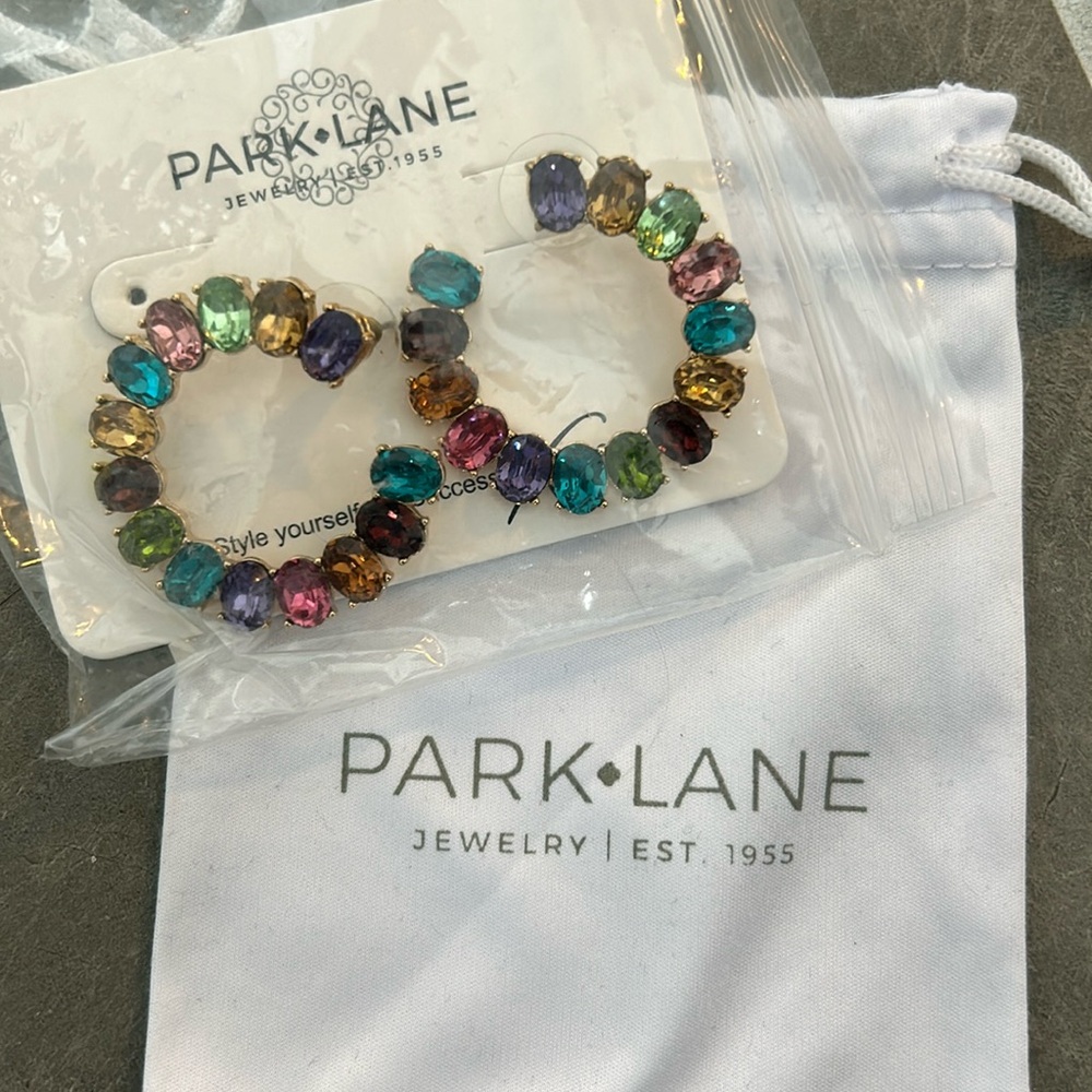 Park Lane Statement Earrings- never worn